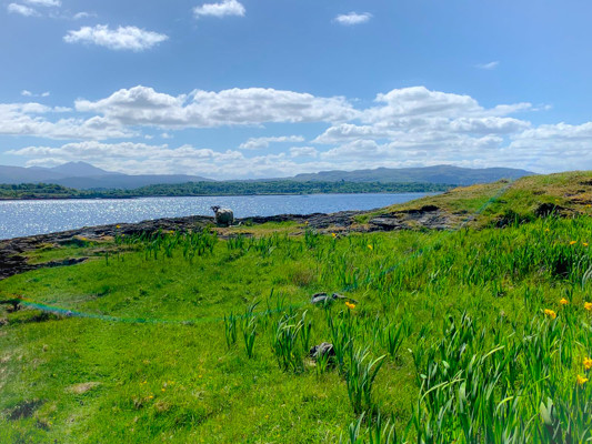 Lismore Looking Towards The Mainland Lismore Kelpie Media