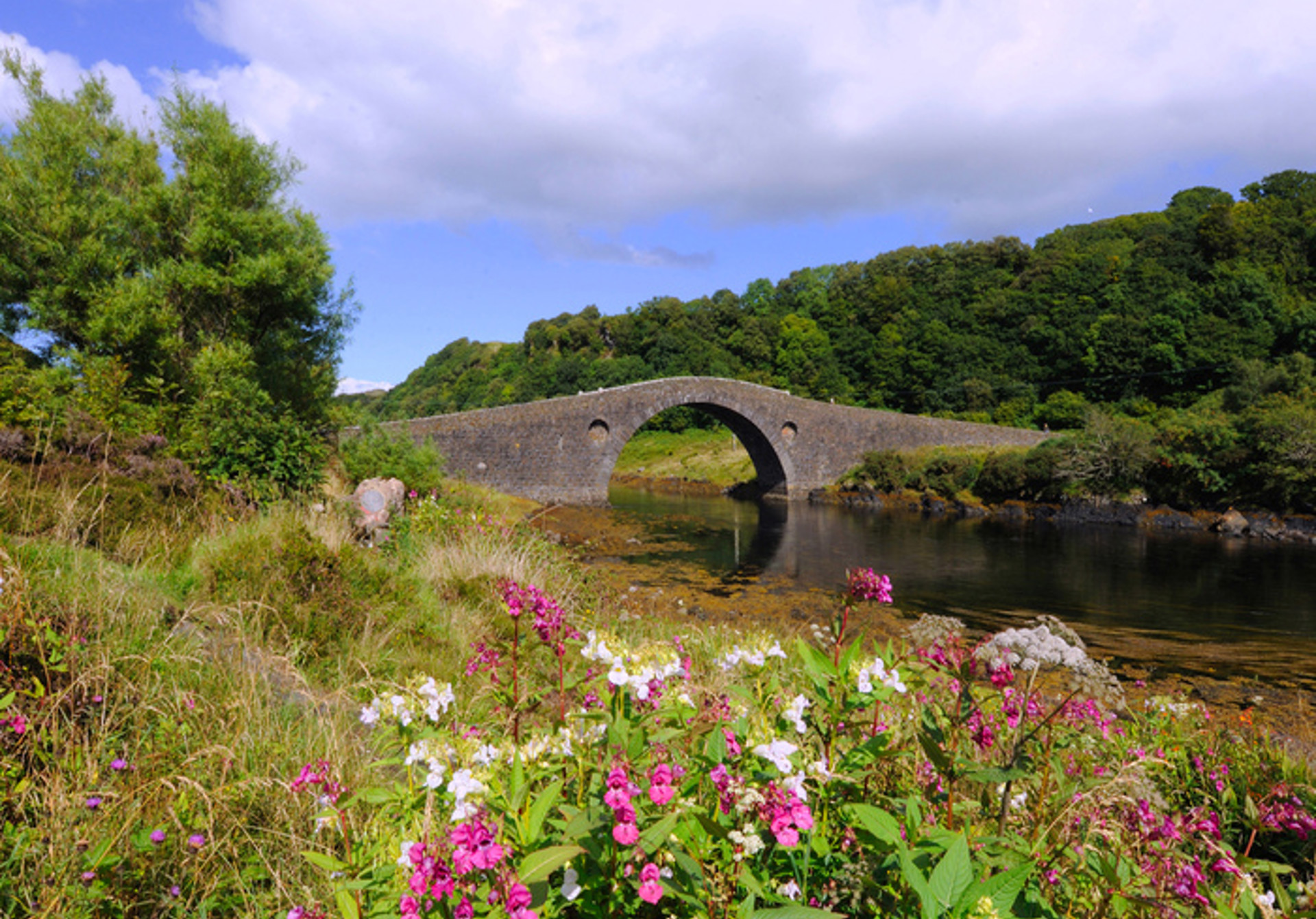Background image - CLACHAN BRIDGE IN SUMMER Dennis Hardley