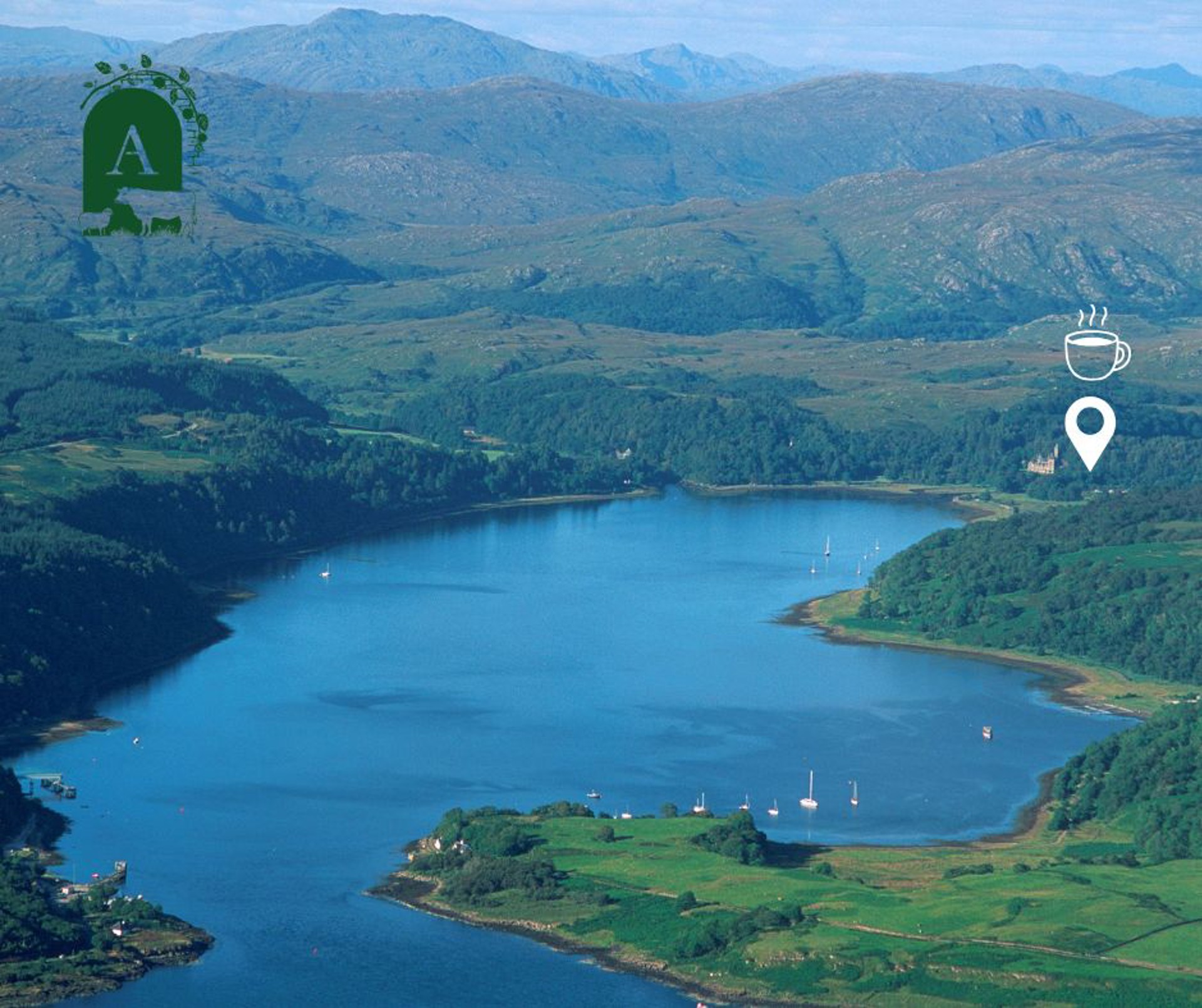 Background image - untitled_design.jpg