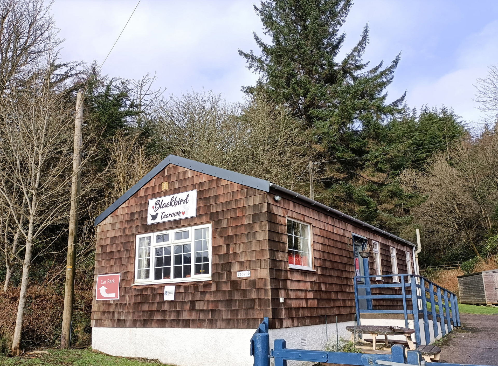 Background image - Blackbird Tearoom
