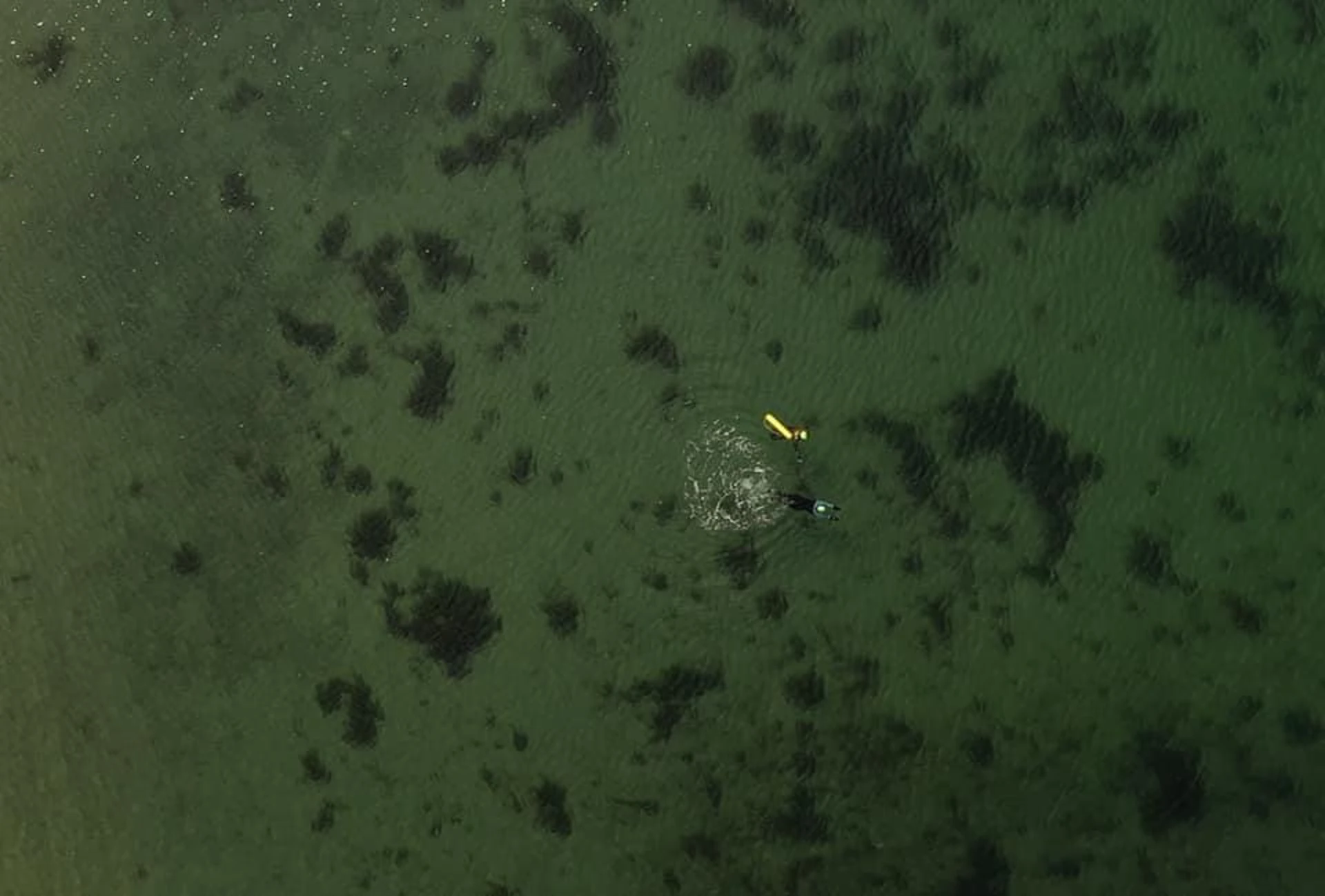 Dan Merman Argyll Swimming From Above