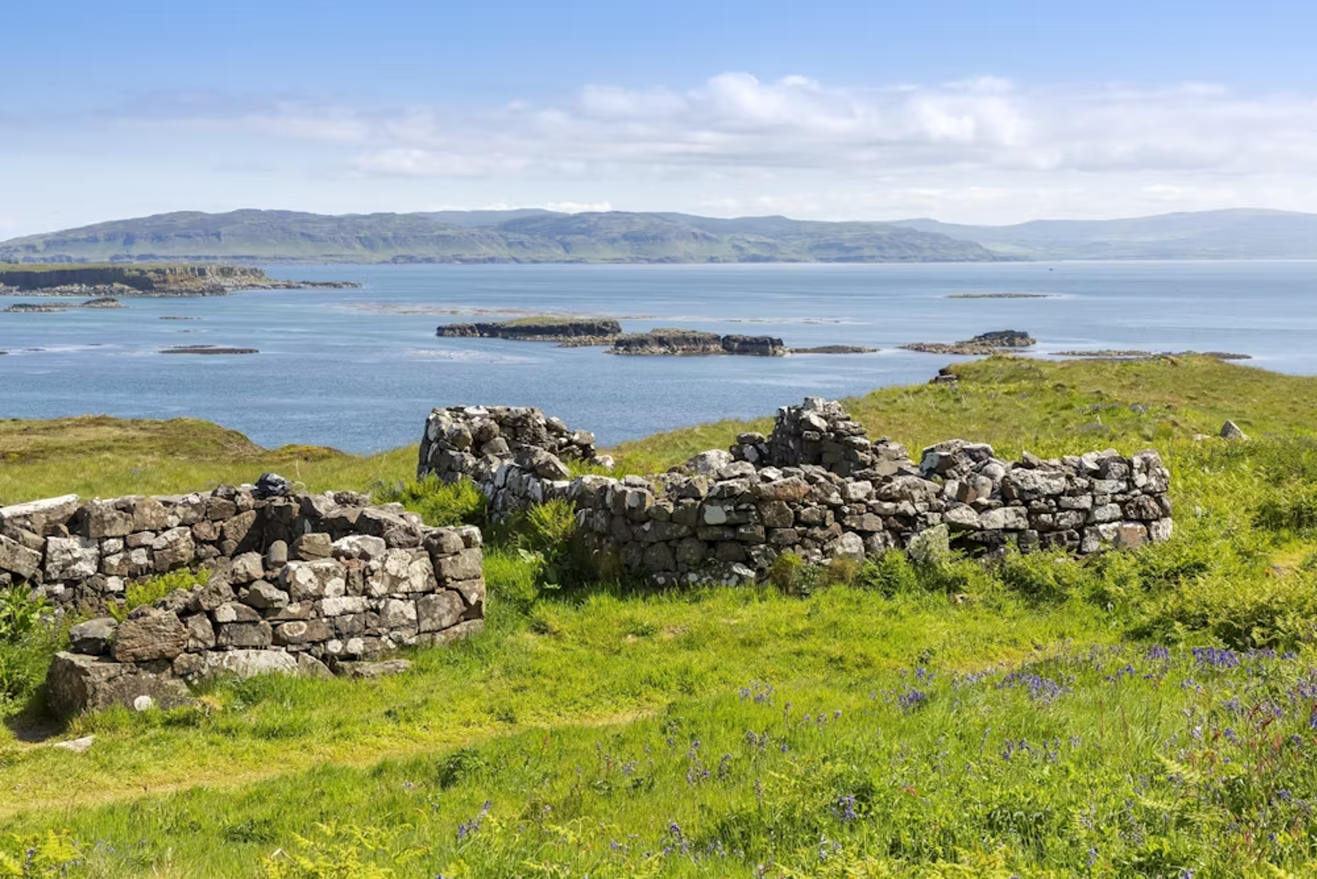 Background image - Treshnish Lunga Archaeological Site 0623 (1)