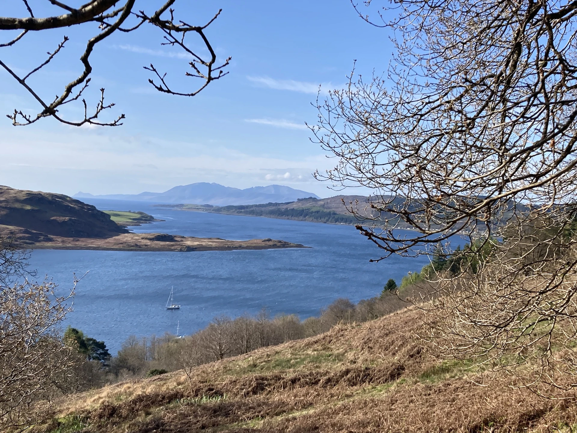 View Along Woodland Path On Run Overlooking Kyles Of Bute And Arran