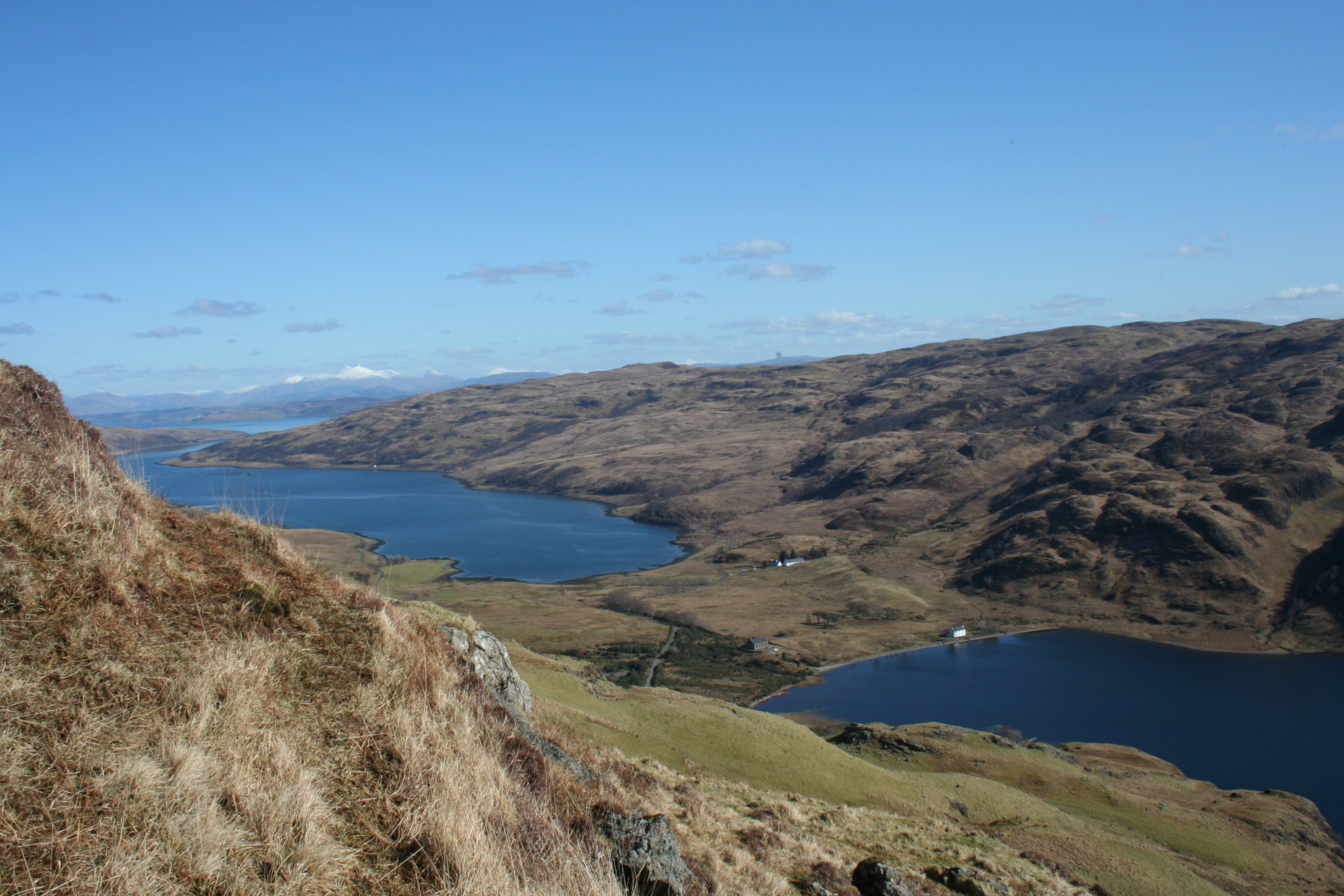 Background image - img_8135.jpg