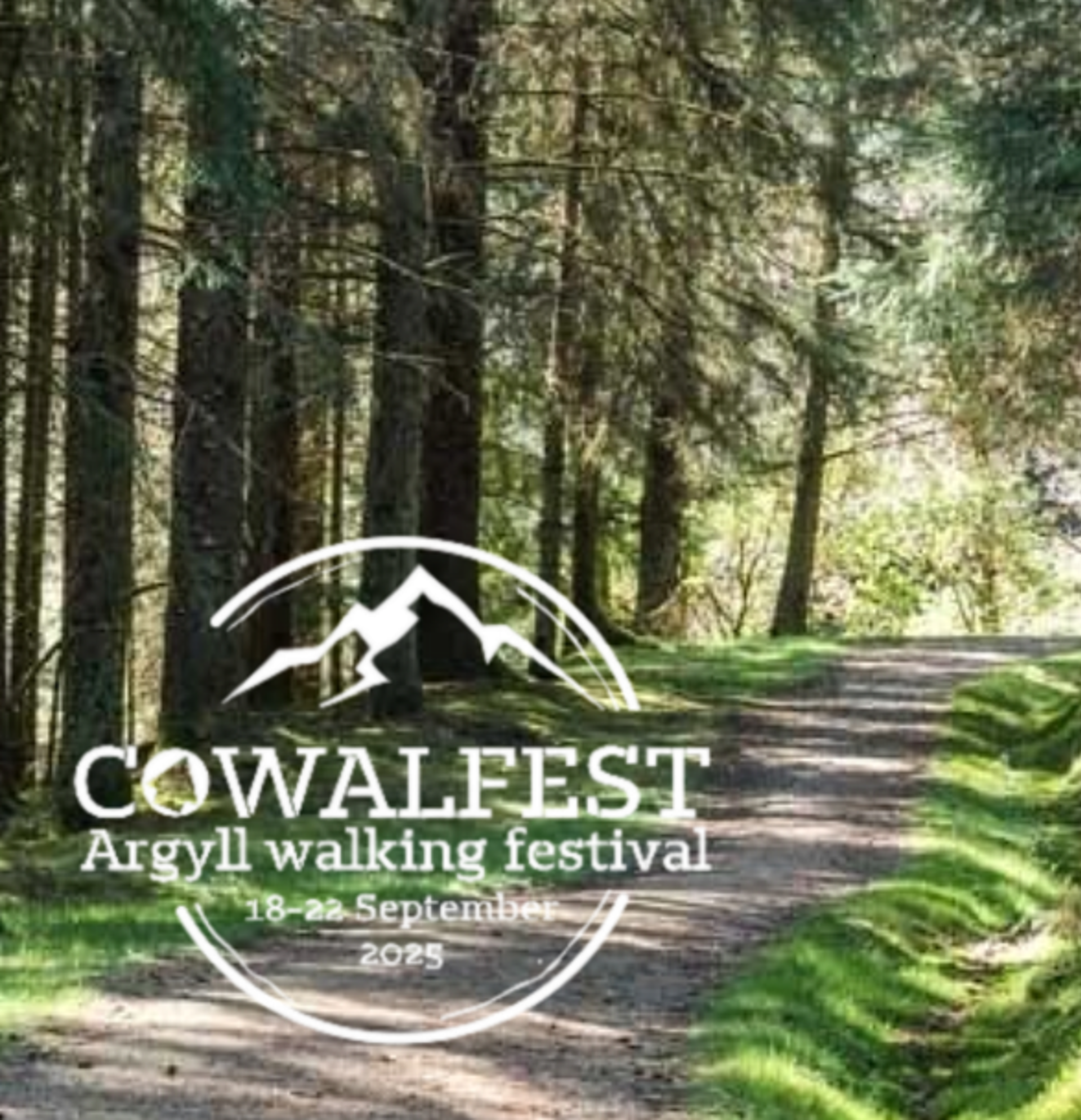 Background image - Forestry Ranger Walk