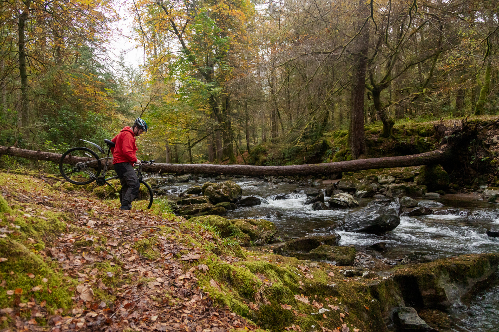 Background image - Mountain Biking Luss1 13 Pauline Guillouzic Photography