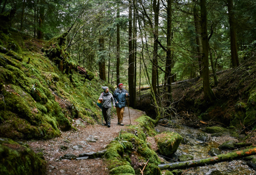 Puck's Glen in Cowal is a fantastic walk to discover this winter. Image credit: Forestry and Land Scotland.