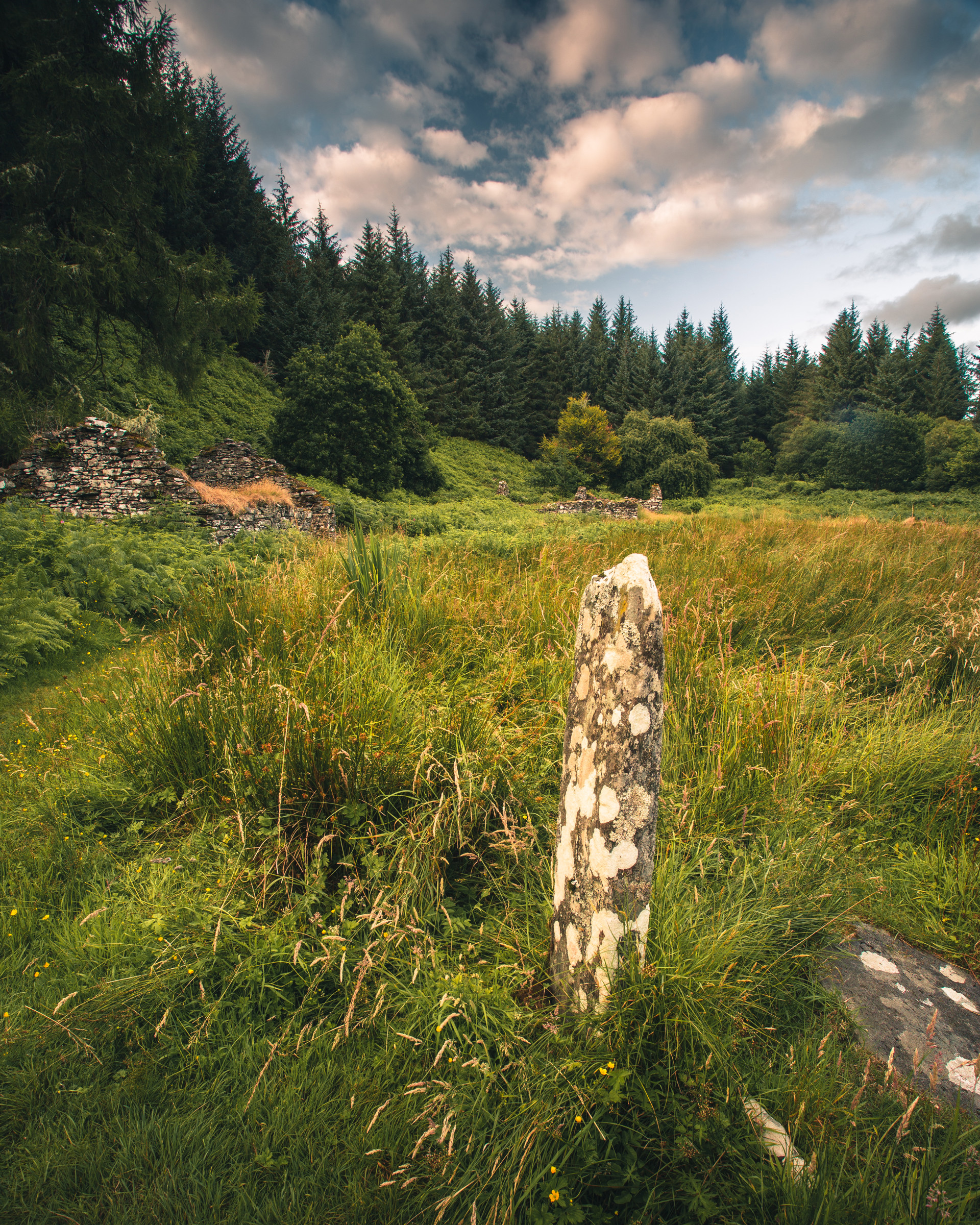 Background image - Kilmory Oib Marc Pickering