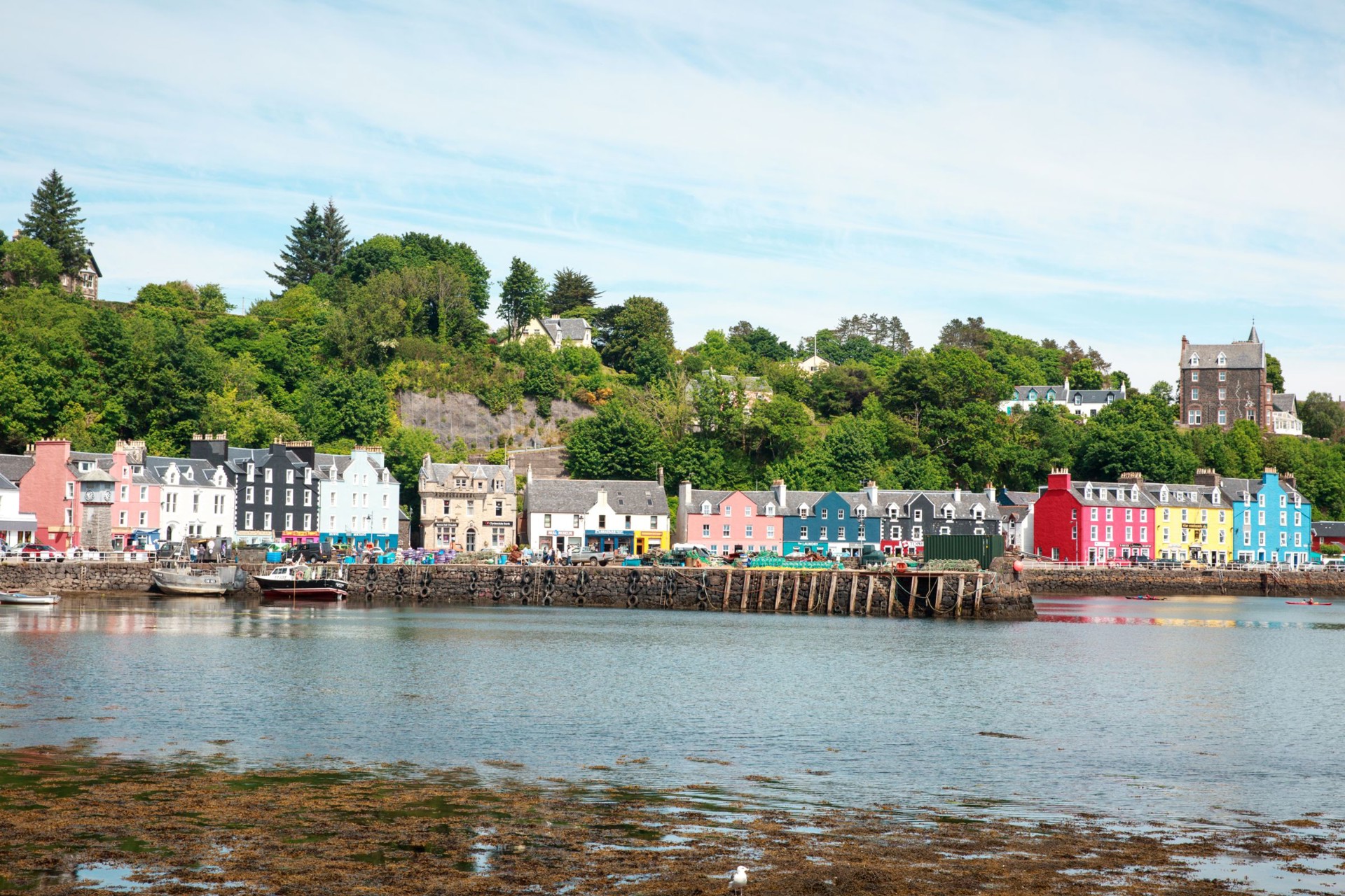 Background image - Tobermory (1)