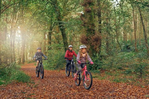 Spend a great day out with the whole family whilst mountain biking in Cowal.