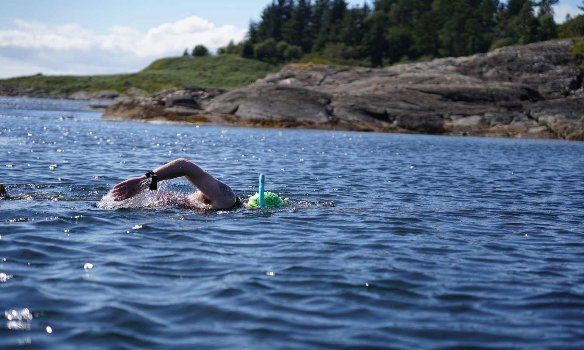 Background image - Coastal Swimming