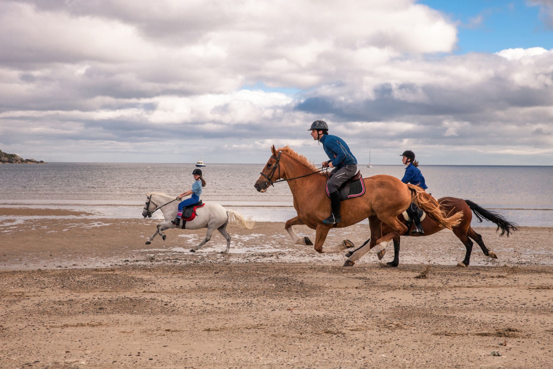 Background image - Horse Riding Argyll