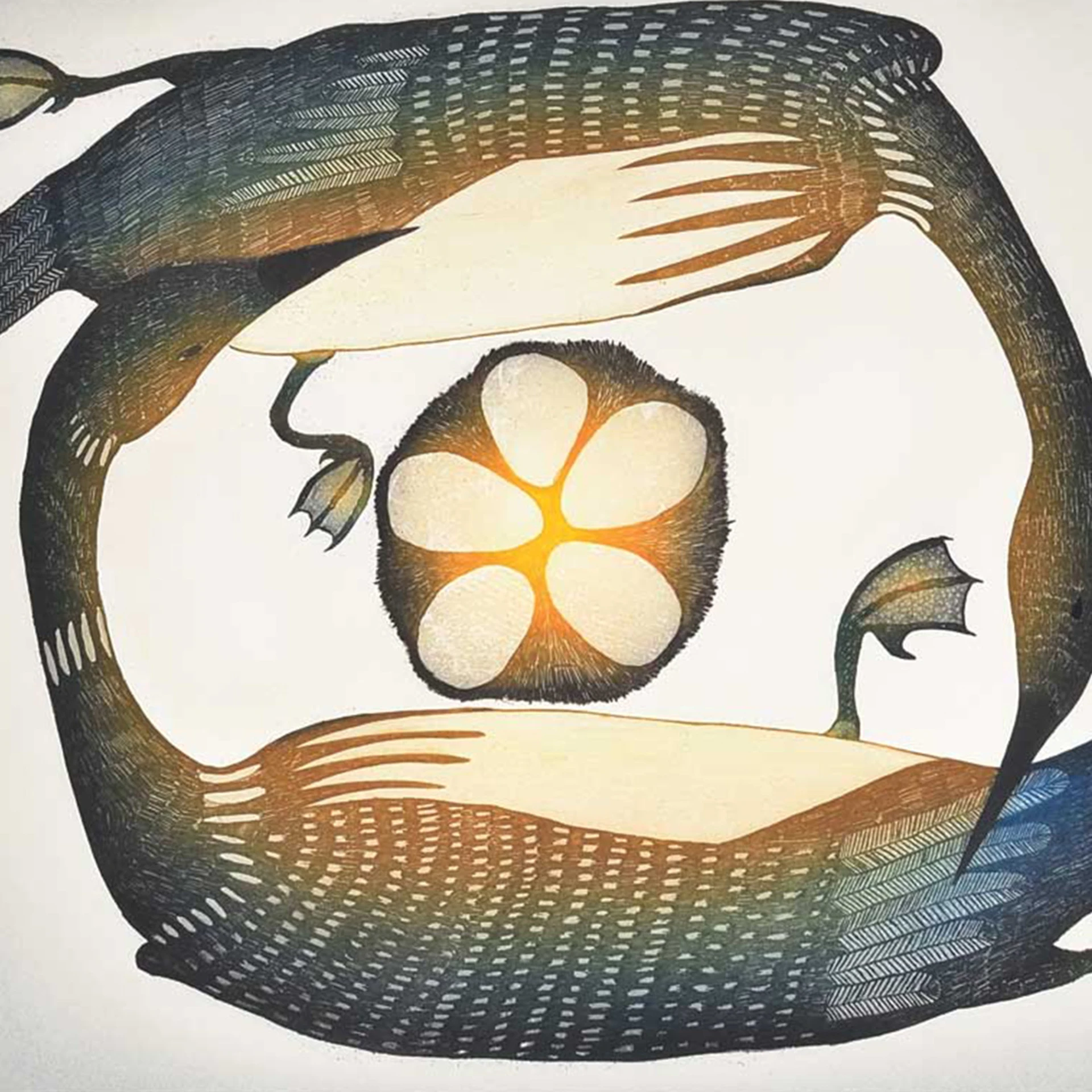 4.edgelands-reel-photo-4-two_loons_nesting__2007___etching_and_aquatint_print..jpg