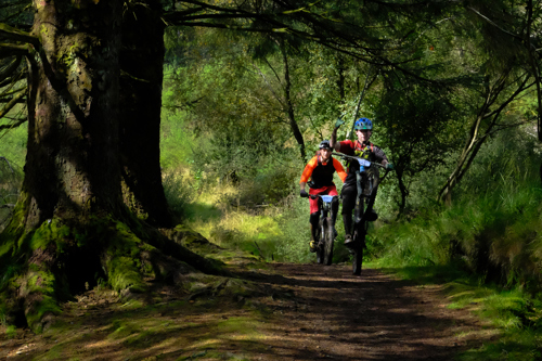Discover the Argyll Forest Park in Cowal on your bike.