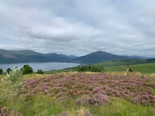 Peaton Hill Conservation Reserve1