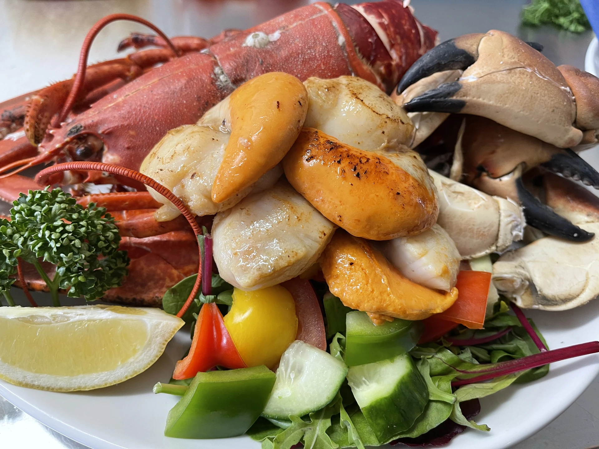 seafood_medley.jpg