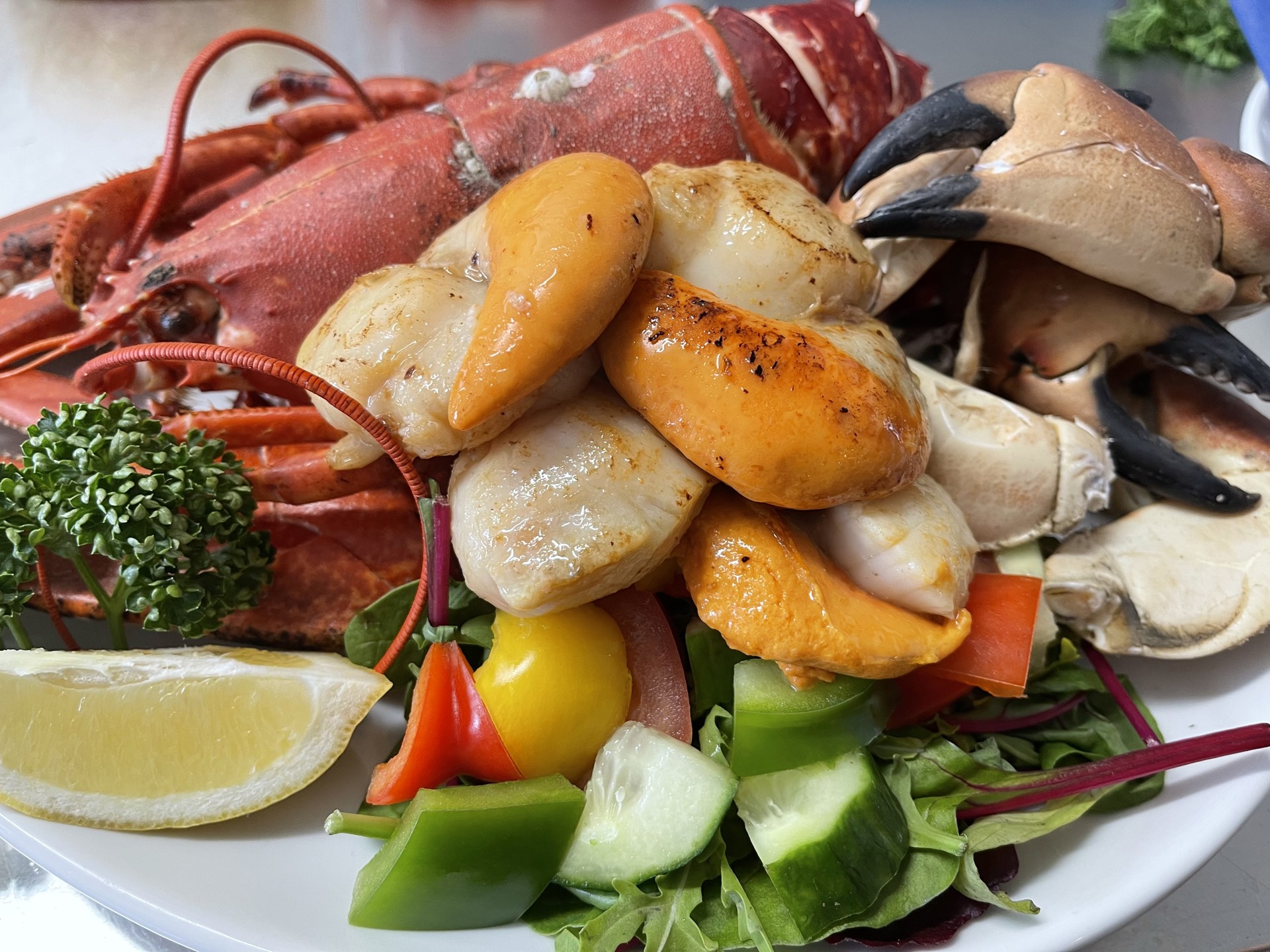 Background image - seafood_medley.jpg