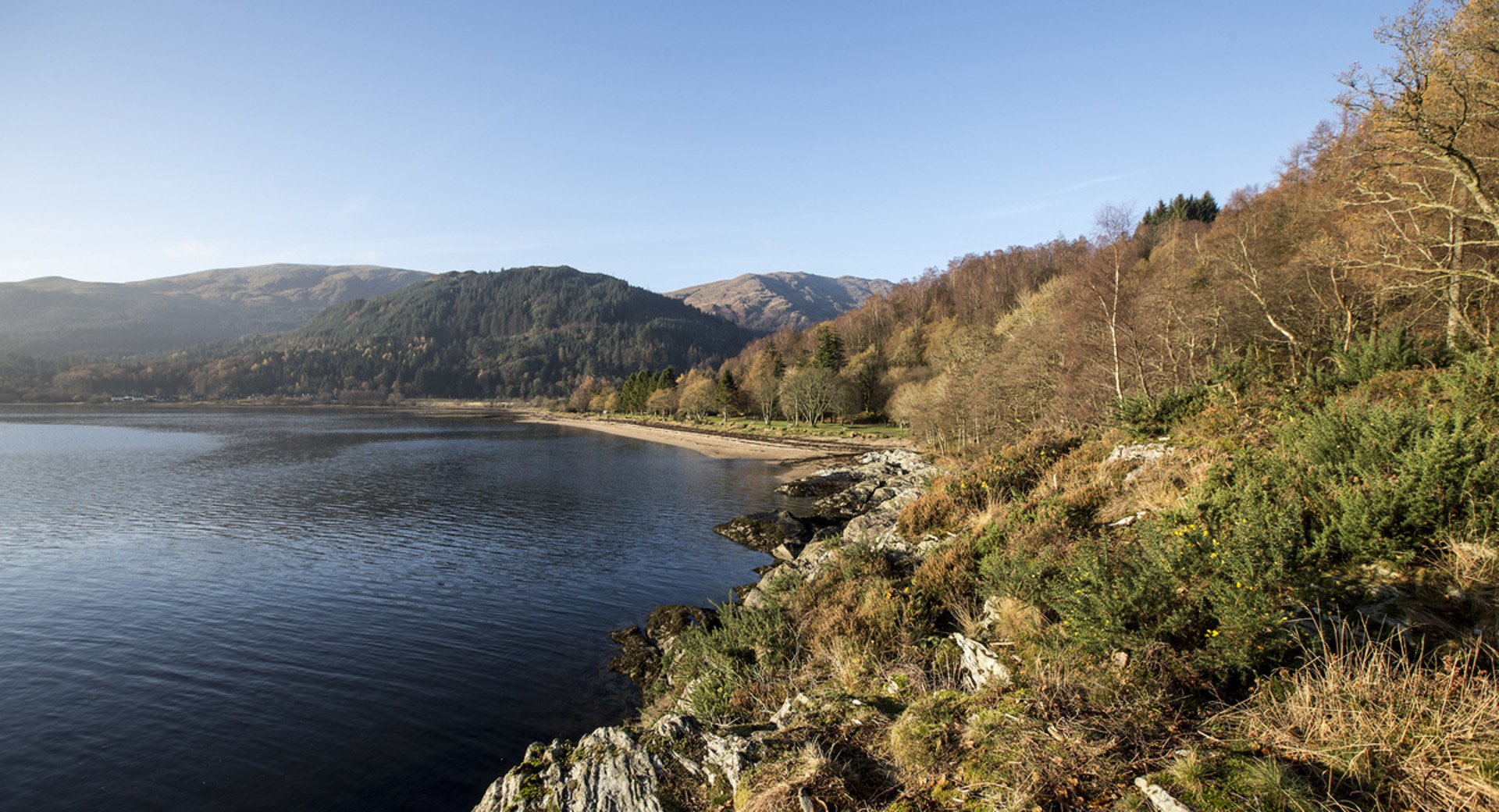 Background image - Ardentinny45 Argyll Forest Park Forestry And Land