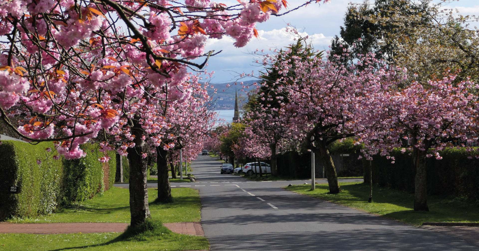 Background image - Destination Helensburgh Banner