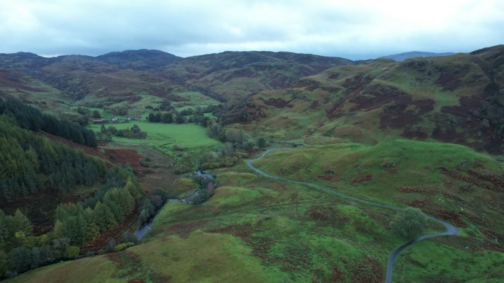 DJI 0886_Drone image of greenery