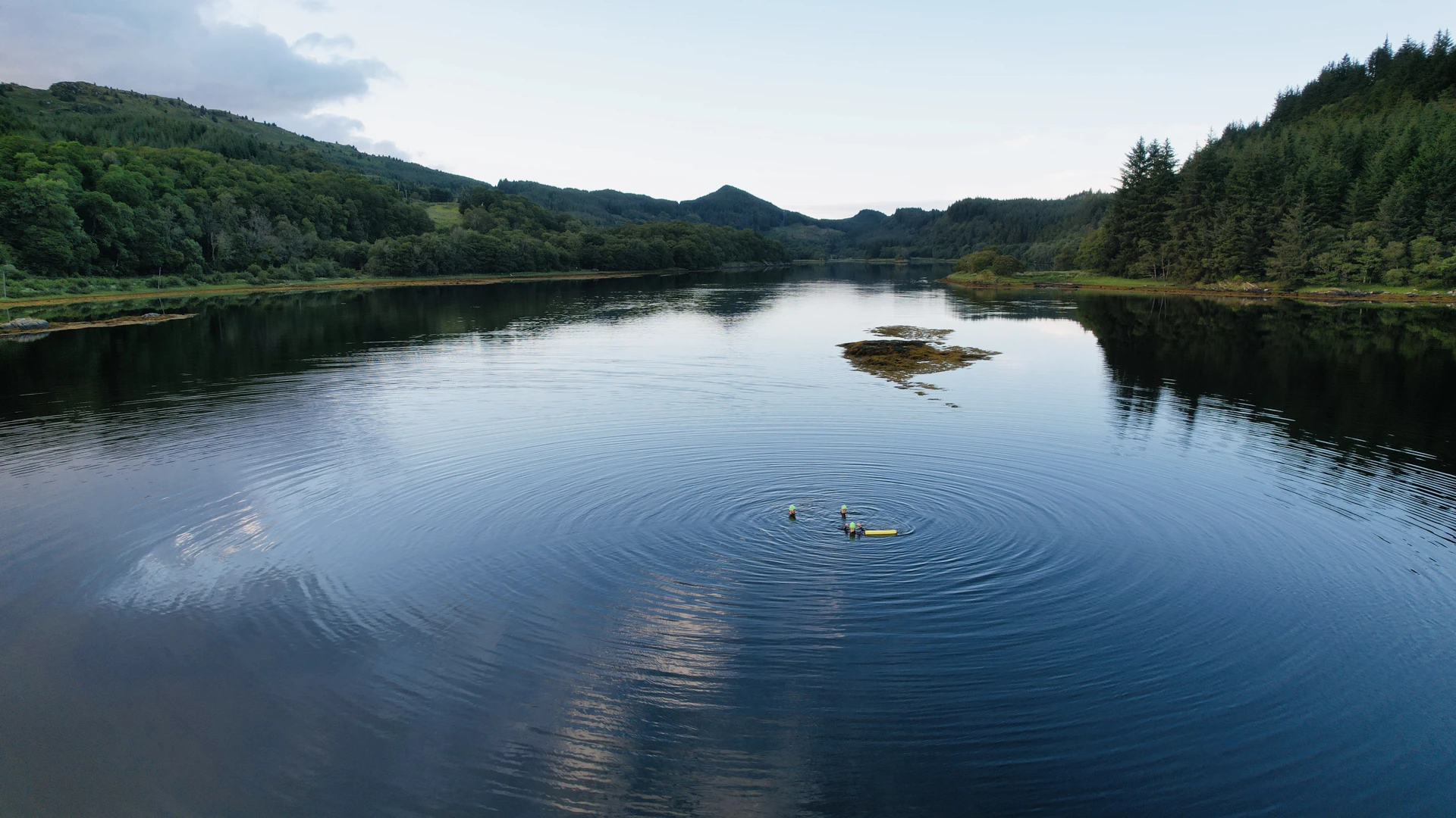 Dan Merman Argyll Hope Spot
