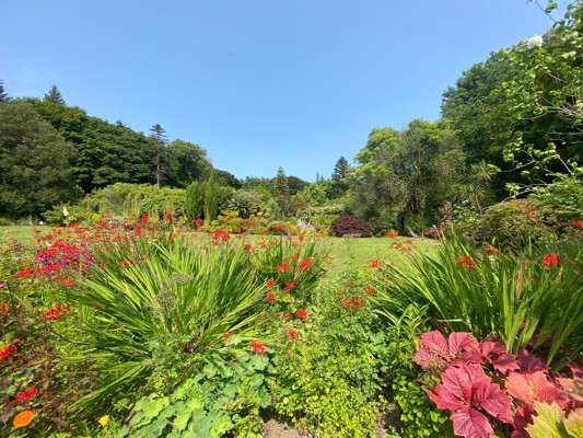 Achamore Gardens July 2021 Gigha