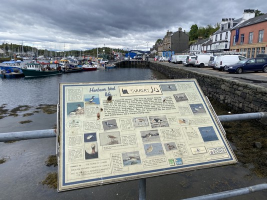 Tarbert 1