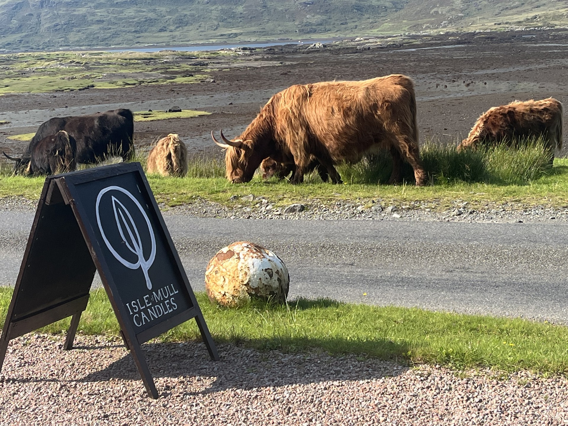 Background image - img_0793.jpeg