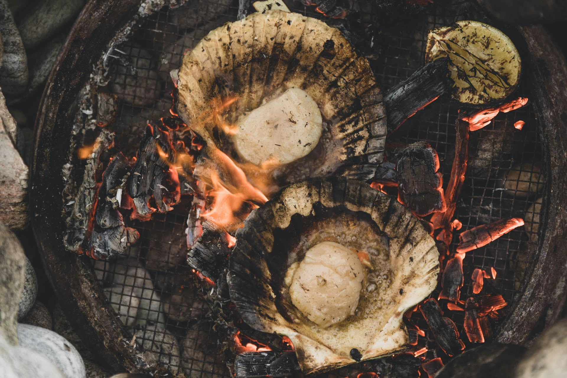 kabn_company_the_wilder_kitchen_supper_club_loch_fyne_scotland_scallops.jpeg