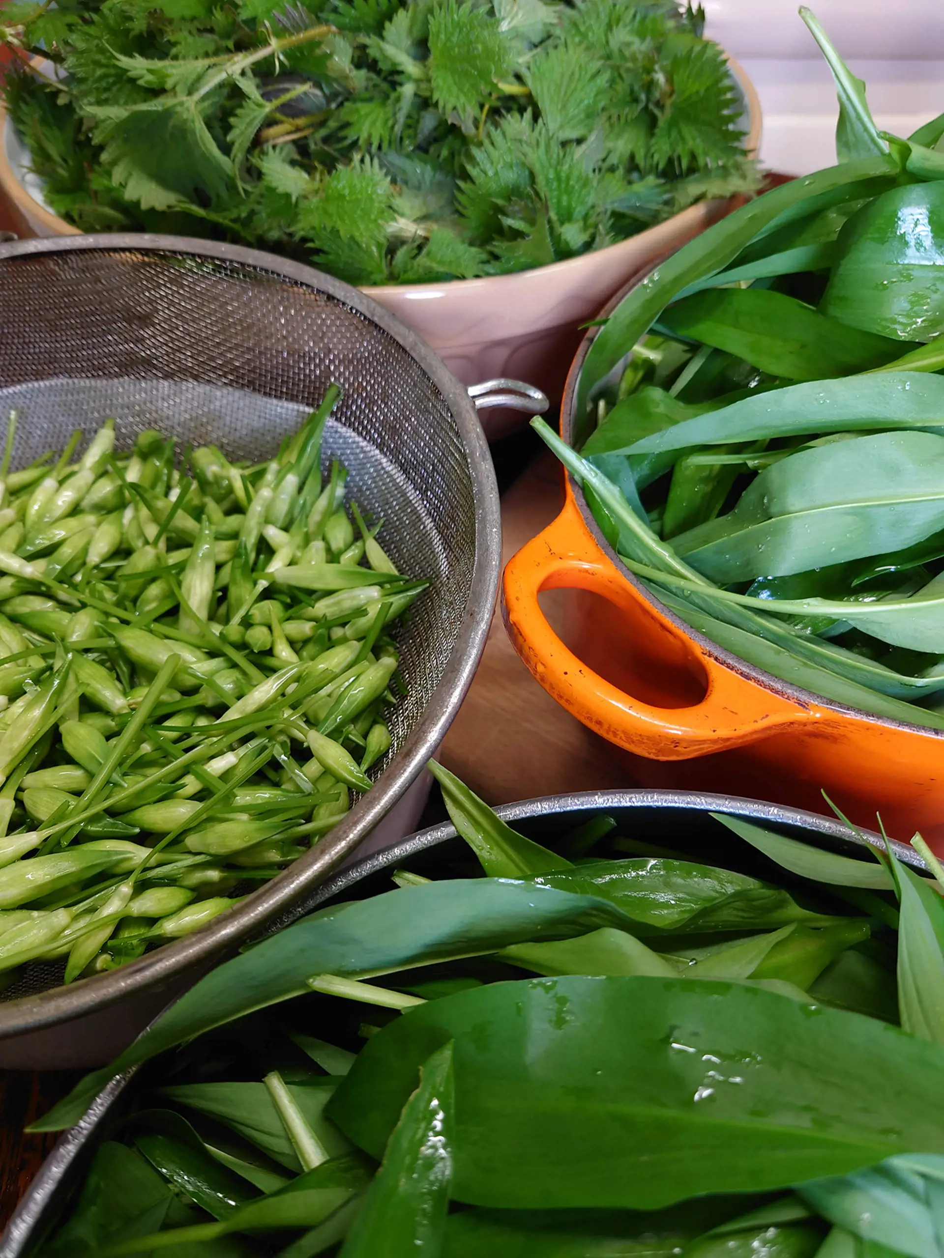 heathery_heights_assembling_wild_garlic_and_nettles_for_pesto_and_pickling_copy.jpg