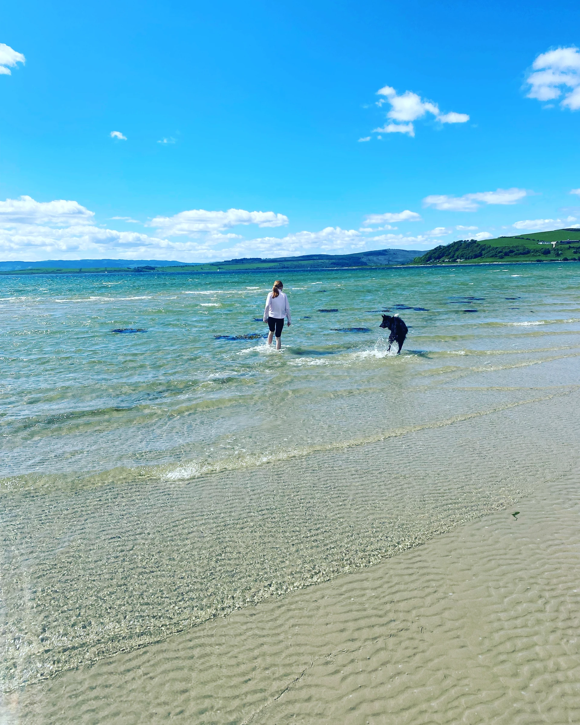 Beach & Dog
