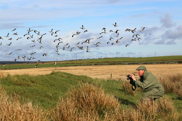 Jura Wildlife Islay Outdoors Birds