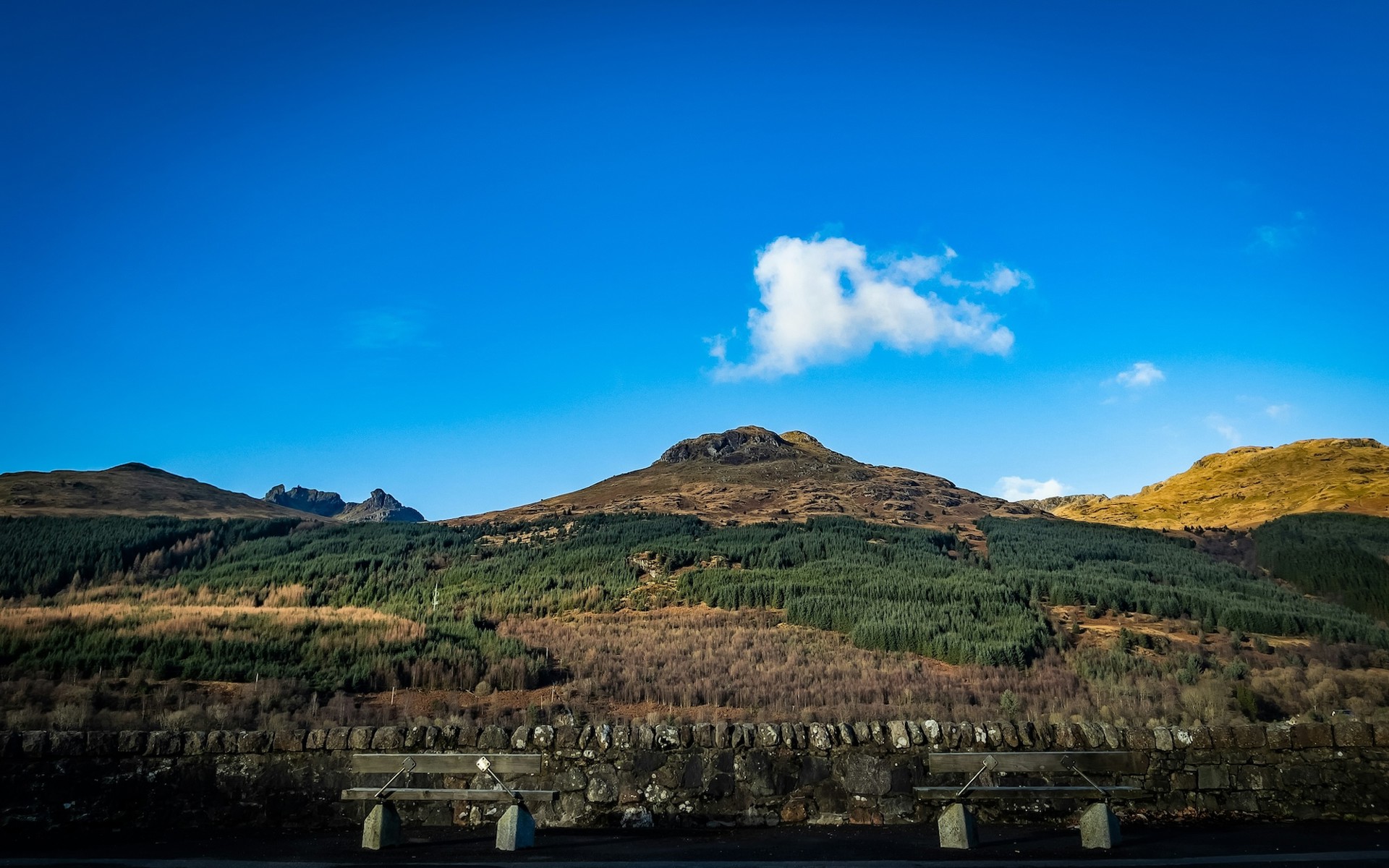 Background image - Arrochar Wild About Argyll 1
