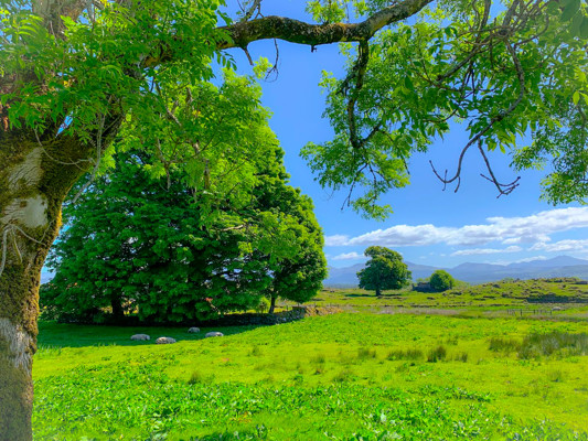 Lismore Farmland Lismore Kelpie Media
