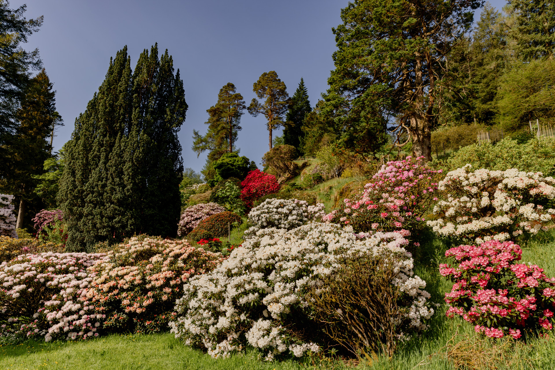 Background image - rs3616_ec_benmore_landscape_012.jpg