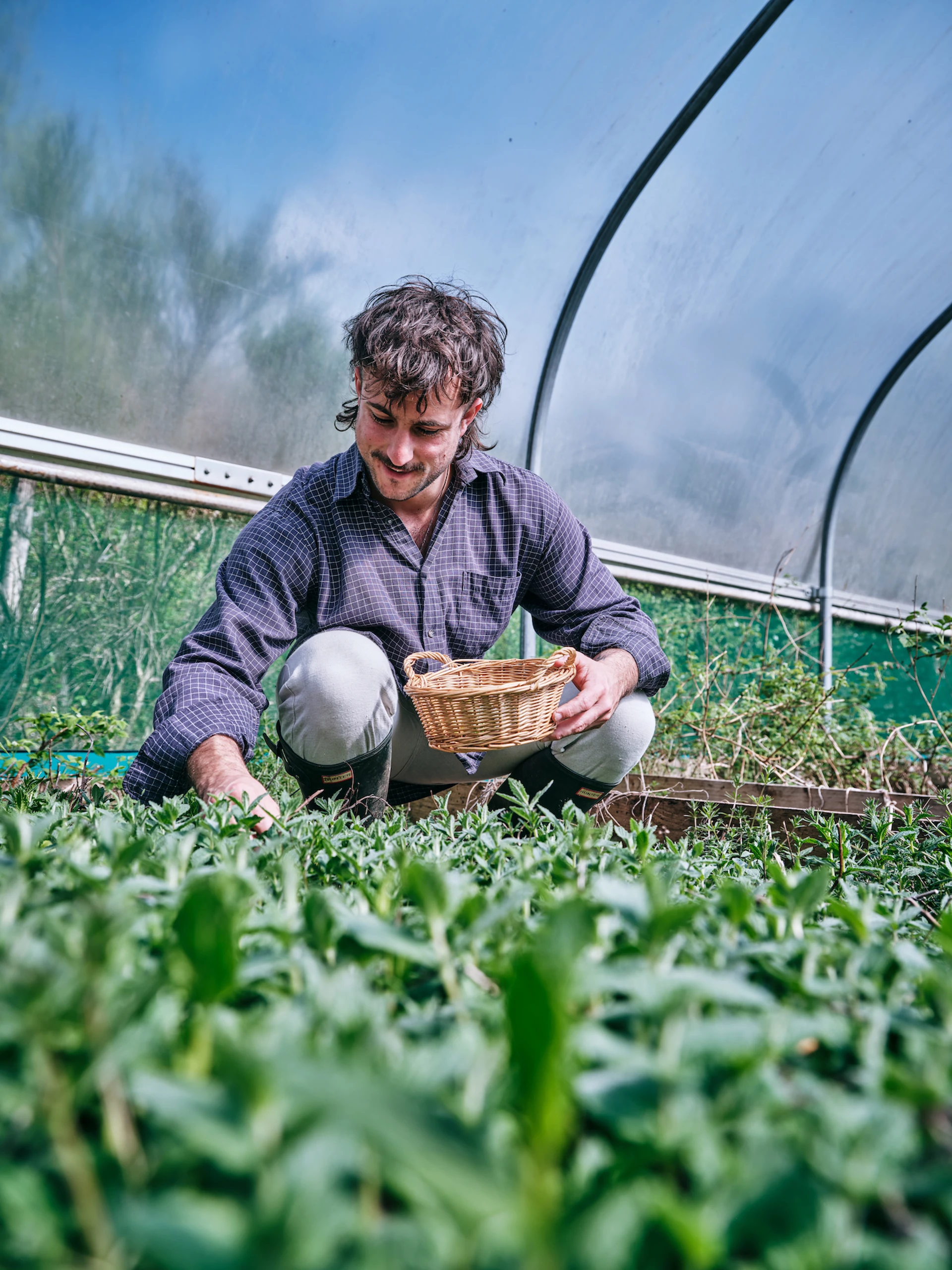 wild_kabn_kitchen_picking_greens.jpg