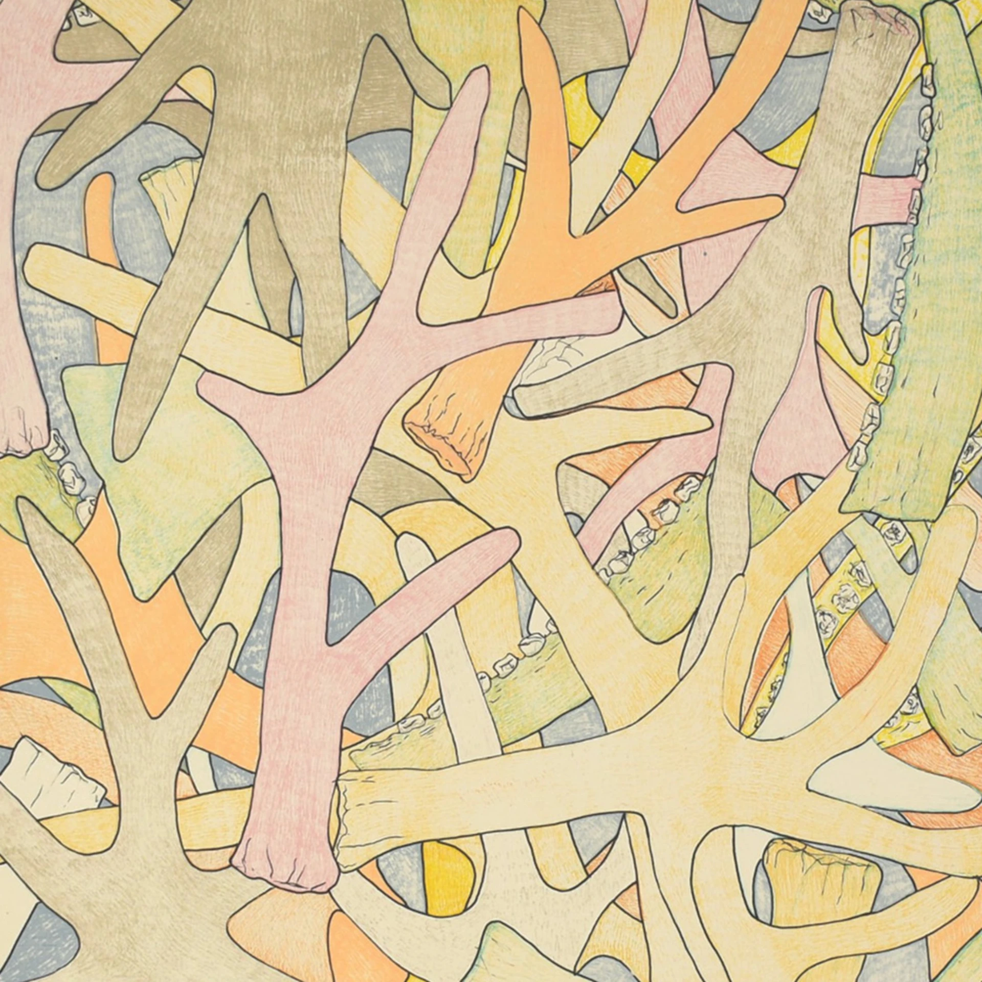2.edgelands-reel-photo-2-_padloo_samayualie__antlers_and_bones__2019___lithograph_print.jpg