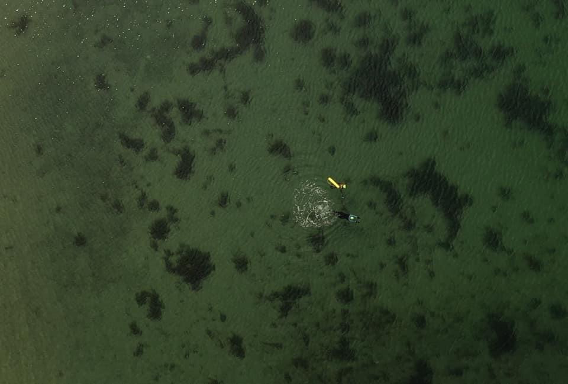 Background image - Dan Merman Argyll Swimming From Above