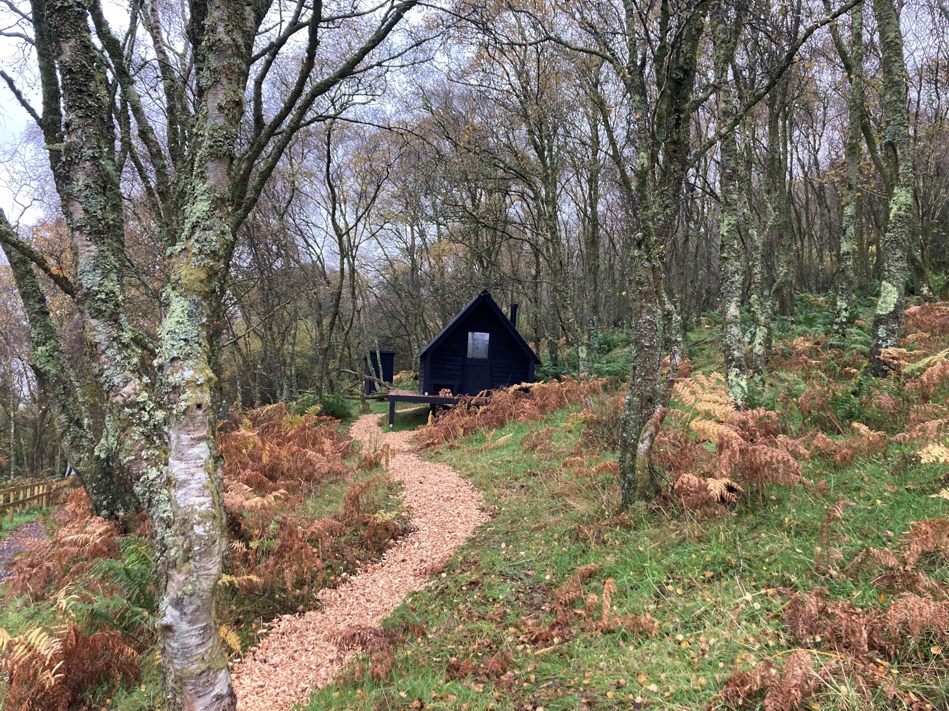 Background image - birch_hut.jpg