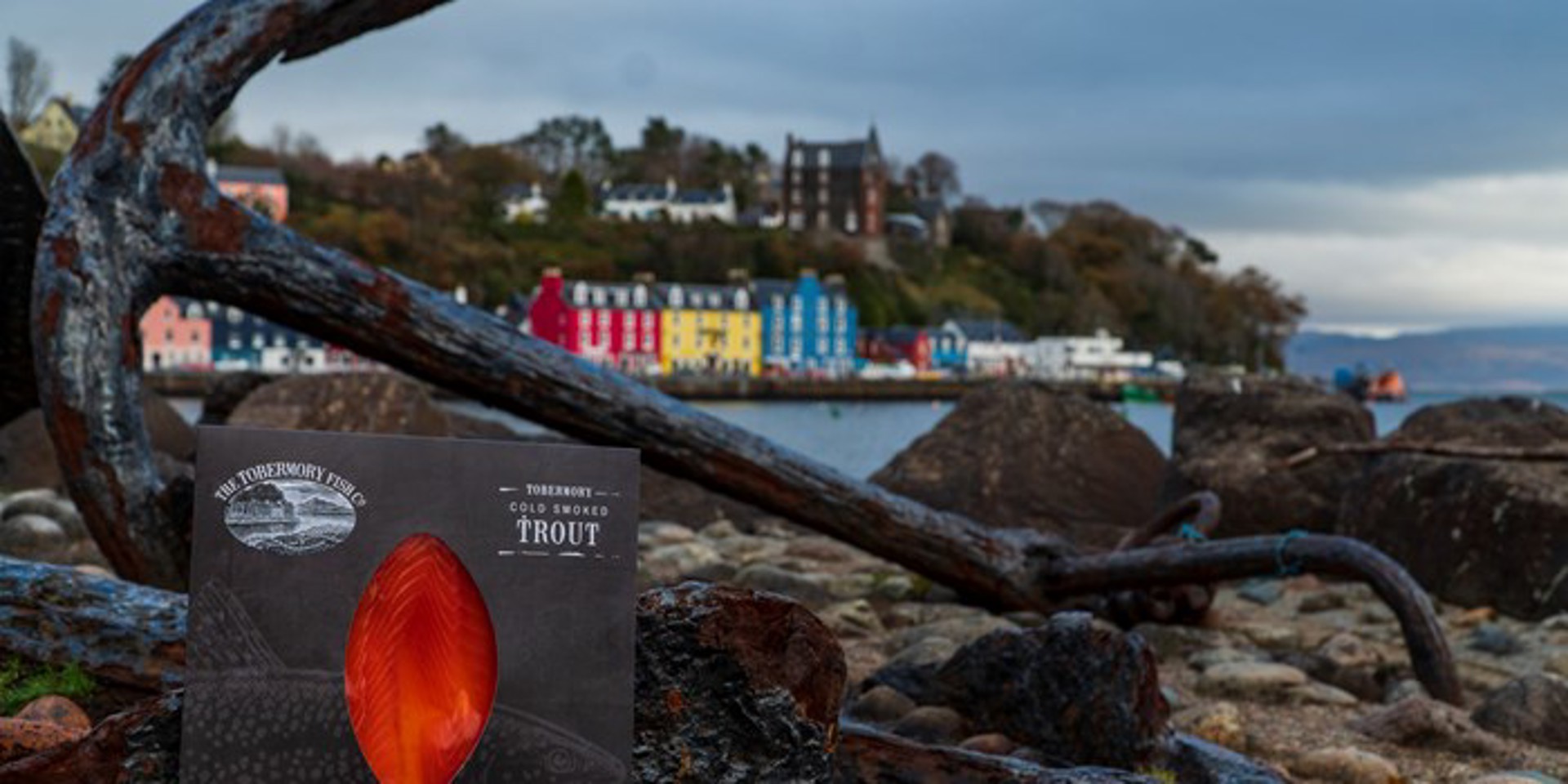 Background image - Tobermory Fish Taste Trails11