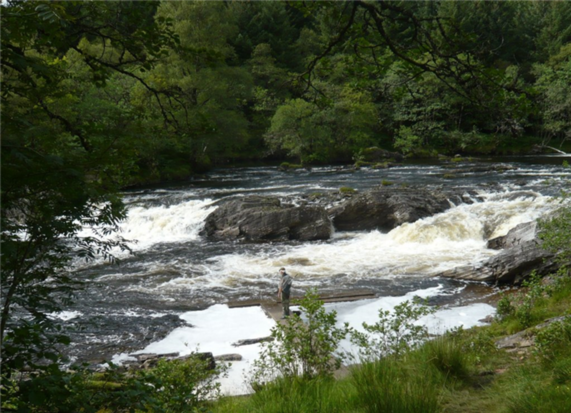 Background image - Fishpal Salmon Fishing Argyll