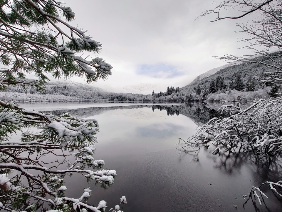 7 Winter Woodland Walks to Enjoy in Argyll & the Isles