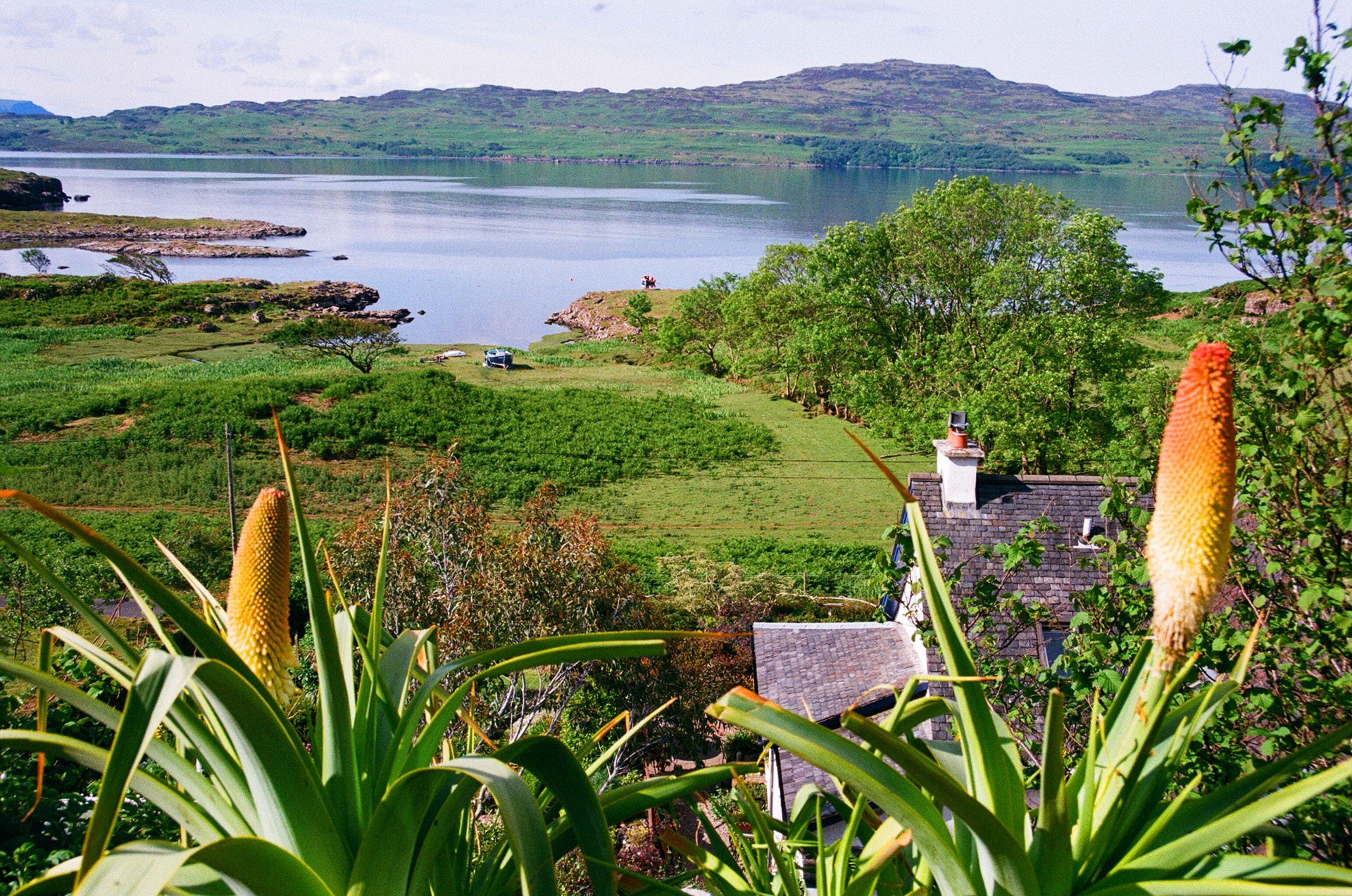 Background image - 2012-06-27_06.05.32-2.jpg