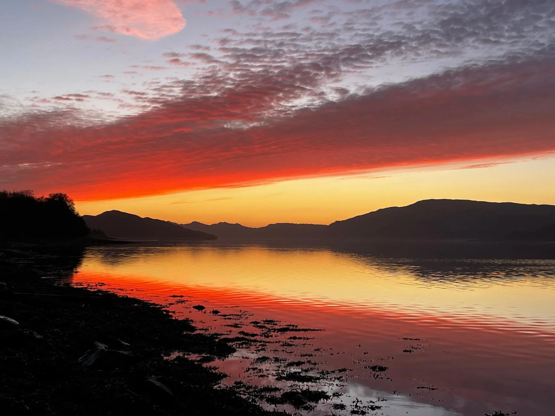 Background image - southqueensferryqfcrossing-roadbridge2.jpg