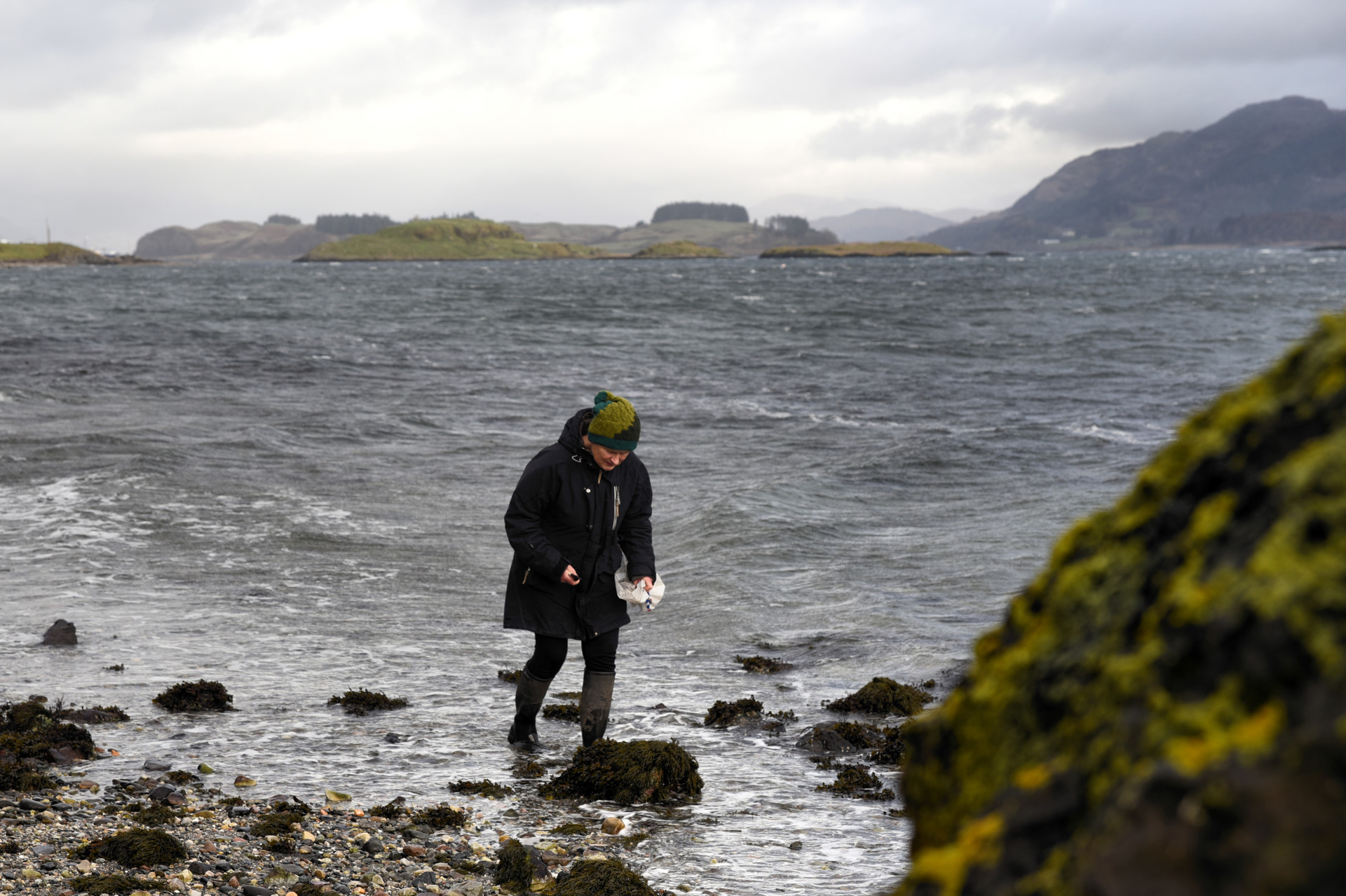 Tastetrails Eva Seaweedforaging Lismore4