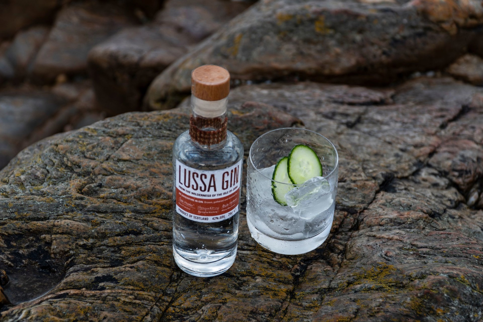 Background image - Lussa Gin Tasteofplacetrails.63