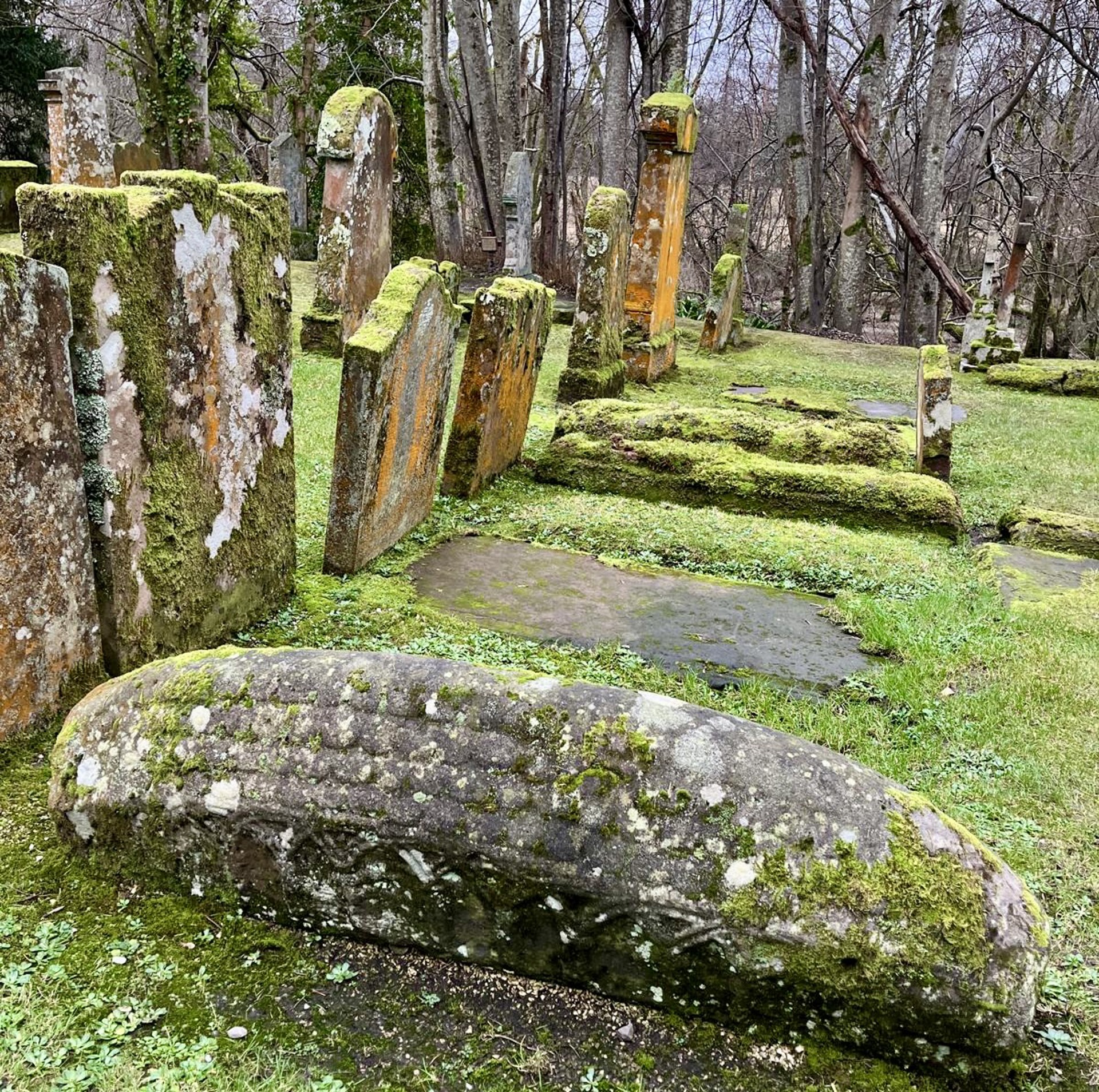 Background image - Luss Parish Church Wild About Argyll