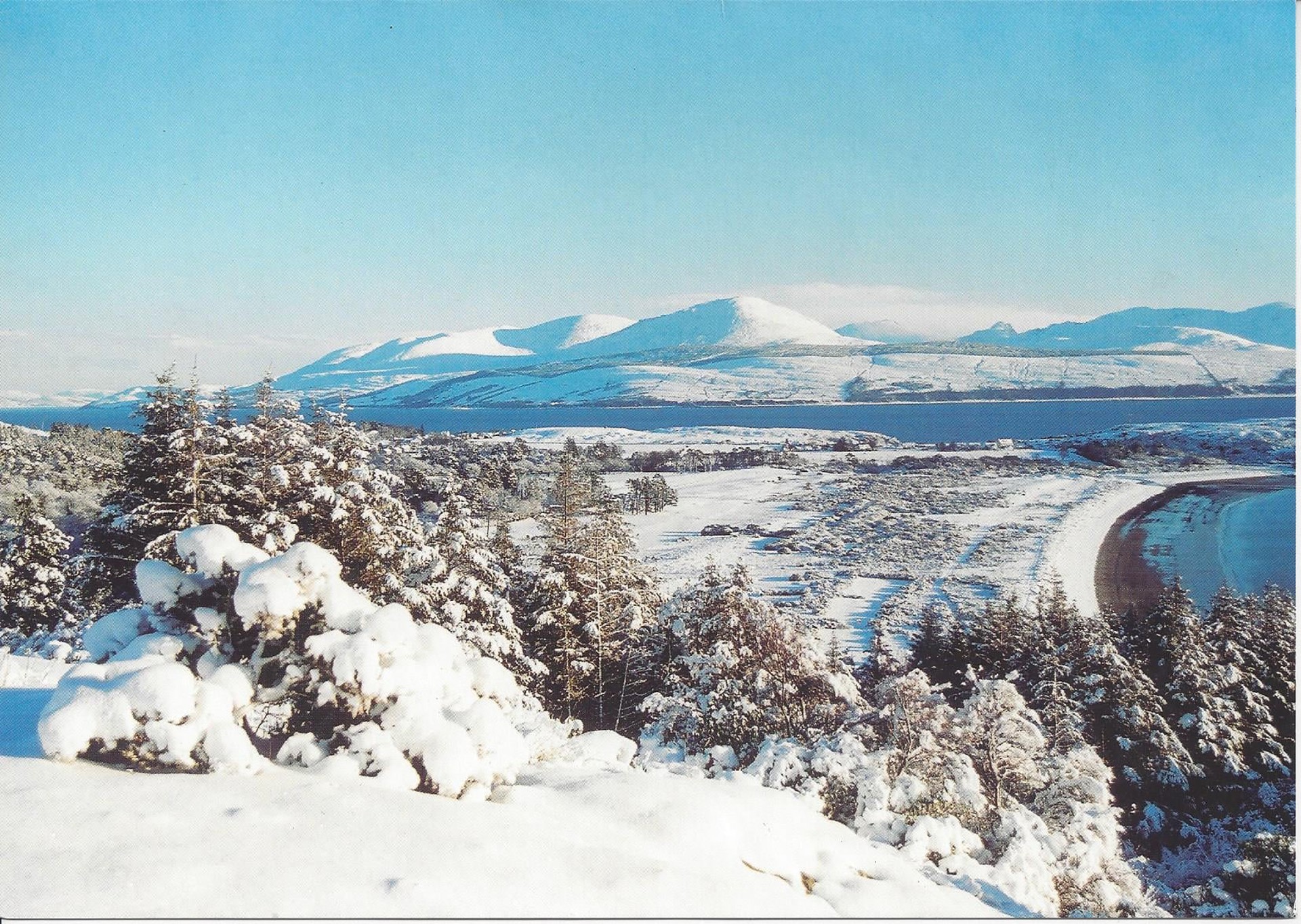 Background image - 484846814 1154251899829471 6705369999359816672 N