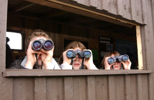 Eagle spotting on Mull can be an activity for the whole family!