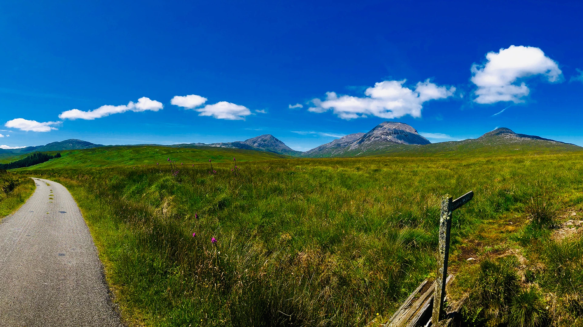009_-_di_facebookcover_1500x843_mh.jpg